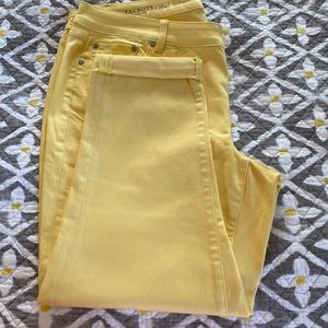 Talbots Girlfriend Women’s jeans . Size 16W Great condition. No flaws.